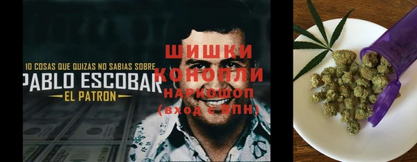 Альфа ПВП Аркадак