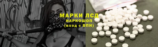 крисы Баксан