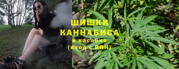 мет Арсеньев