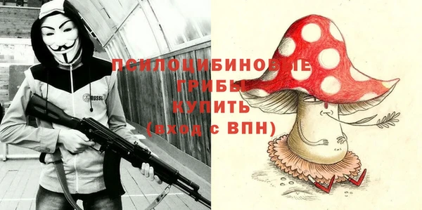 мет Арсеньев