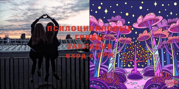 мет Арсеньев
