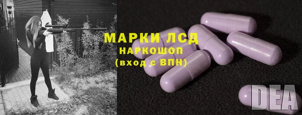 Альфа ПВП Аркадак