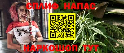 спиды Сланцы