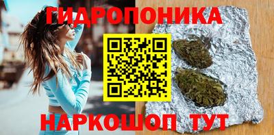 спиды Сланцы
