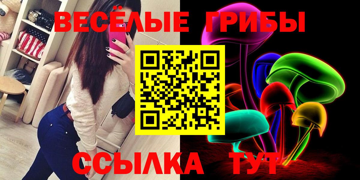 Балтийск  Псилоцибиновые грибы прущие грибы  Вход с VPN  Псилоцибиновые грибы прущие грибы 
