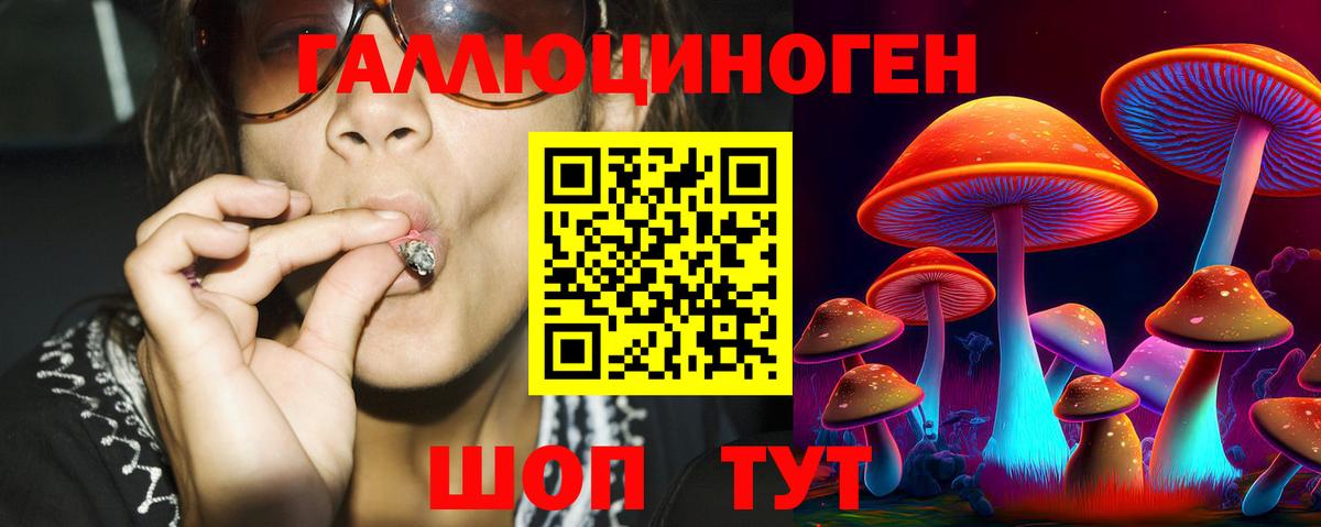 Галлюциногенные грибы мухоморы Балтийск